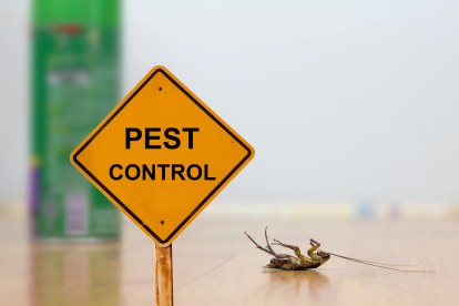 Pest Contol in Charlton, SE7. Call Now 020 8166 9746