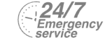 24/7 Emergency Service Pest Control in Charlton, SE7. Call Now! 020 8166 9746